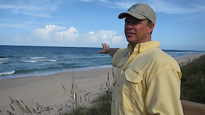 When Sharks Attack Season 1 Episode 1