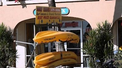 When Sharks Attack Season 2 Episode 2