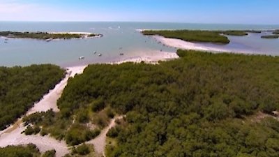 When Sharks Attack Season 2 Episode 3