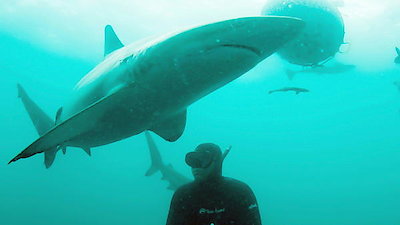 Nature Shock Season 4 Episode 4