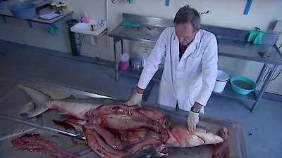 Nature Shock Season 4 Episode 5