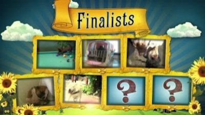 America's Cutest Season 2 Episode 6