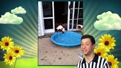 America's Cutest Season 2 Episode 5