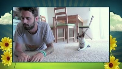 America's Cutest Season 3 Episode 2