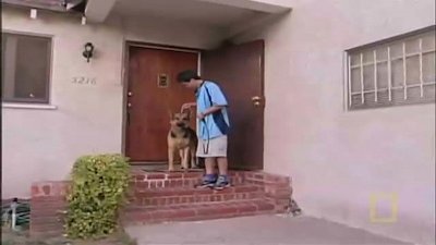 Dog Whisperer Season 1 Episode 20