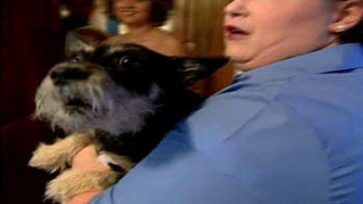 Dog Whisperer Season 2 Episode 9