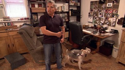 Dog Whisperer Season 4 Episode 7