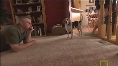 Dog Whisperer Season 4 Episode 8