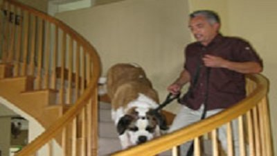 Dog Whisperer Season 5 Episode 3