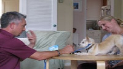 Dog Whisperer Season 5 Episode 5