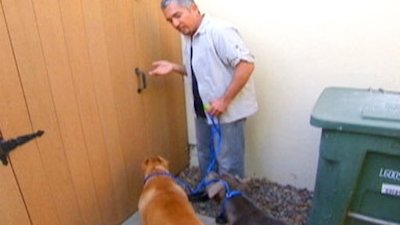 Dog Whisperer Season 5 Episode 12