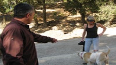 Dog Whisperer Season 5 Episode 13