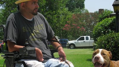 Dog Whisperer Season 5 Episode 20