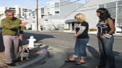 Dog Whisperer Season 6 Episode 6