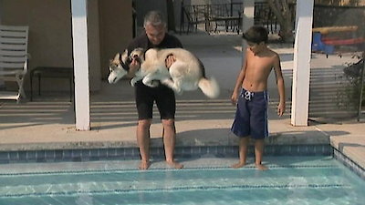 Dog Whisperer Season 6 Episode 11