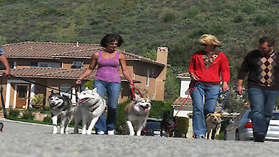 Dog Whisperer Season 6 Episode 12