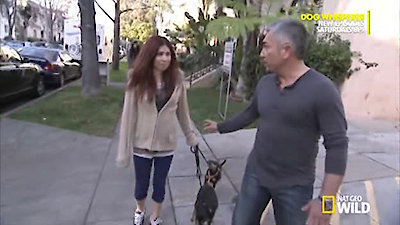 Dog Whisperer Season 8 Episode 3