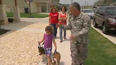 Dog Whisperer Season 8 Episode 4