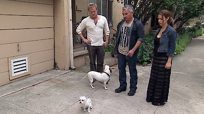 Dog Whisperer Season 9 Episode 8