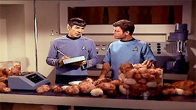 Star Trek: The Original Series - Fan Favorites Season 1 Episode 2
