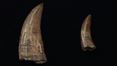 Pawn Stars Season 27 Episode 3