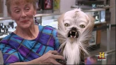 Pawn Stars Season 6 Episode 19