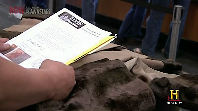 Pawn Stars Season 8 Episode 26