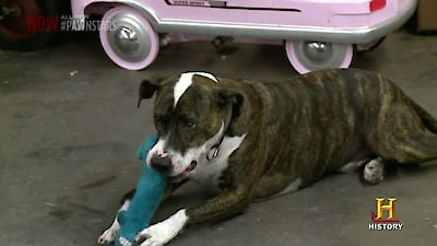 Pawn Stars Season 8 Episode 33