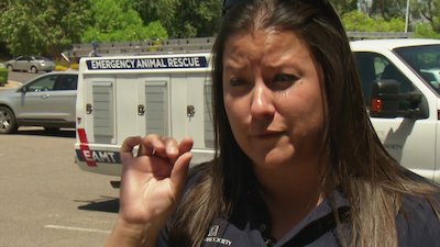 Animal Cops: Phoenix Season 20 Episode 1