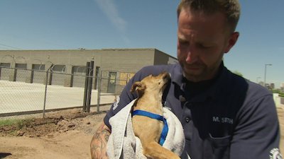 Animal Cops: Phoenix Season 20 Episode 5