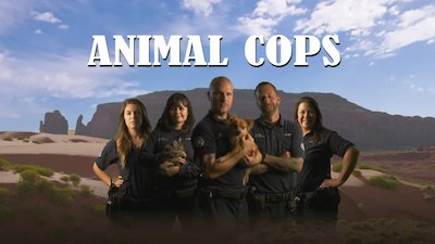 Animal Cops: Phoenix Season 20 Episode 6