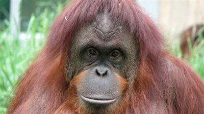 Great Museums Season 3 Episode 10