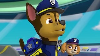 paw patrol save the royal kitties