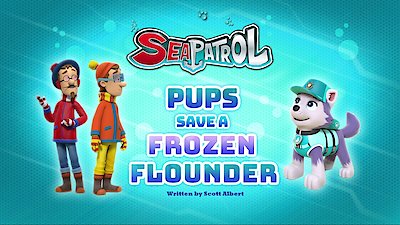 Van toepassing zijn ziekenhuis Discipline Watch Paw Patrol Season 4 Episode 22 - Sea Patrol: Pups Save a Frozen  Flounder / Sea Patrol: Pups Save a Narwhal Online Now