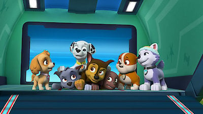 Paw Patrol Season 5 Episode 23