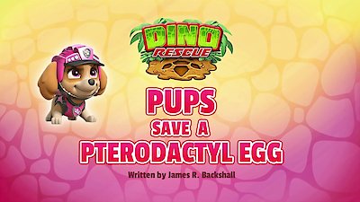 Paw Patrol Season 7 Episode 107