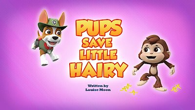 Paw Patrol Season 15 Episode 5