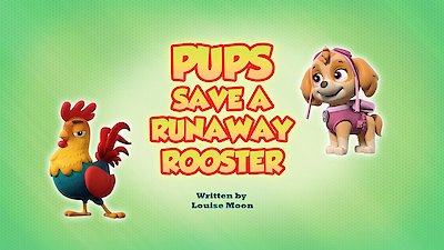 Paw Patrol Season 15 Episode 9