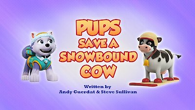 Paw Patrol Season 15 Episode 10