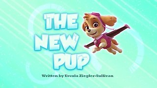 Watch Paw Patrol Season 3 Episode 7 - The New Pup Online Now