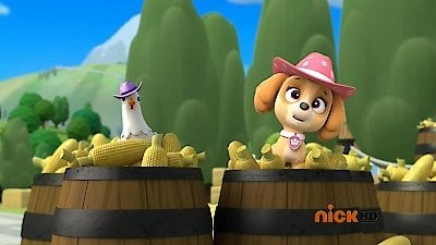 Paw Patrol Season 1 Episode 11