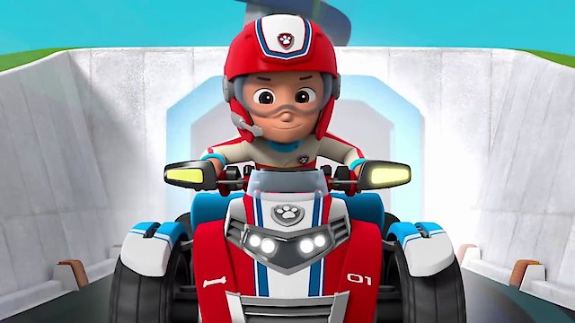 moto pups ryder