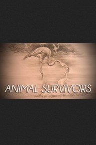 Animal Survivors