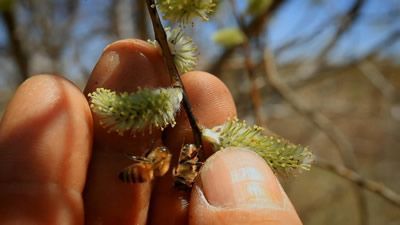 TechKnow Season 1 Episode 6