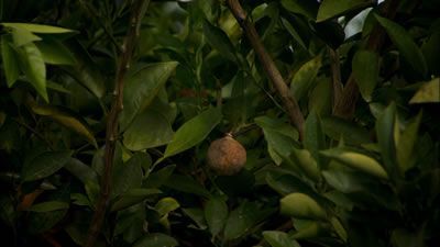 TechKnow Season 1 Episode 13