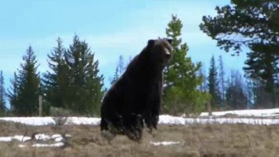 America the Wild with Casey Anderson Season 2 Episode 6