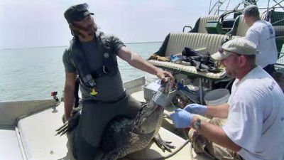 America the Wild with Casey Anderson Season 2 Episode 5