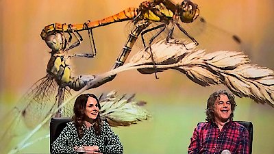 Qi Season 15 Episode 2