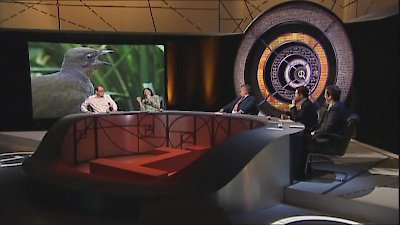 Qi Season 6 Episode 5