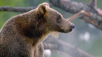 Wild Russia Season 2 Episode 1